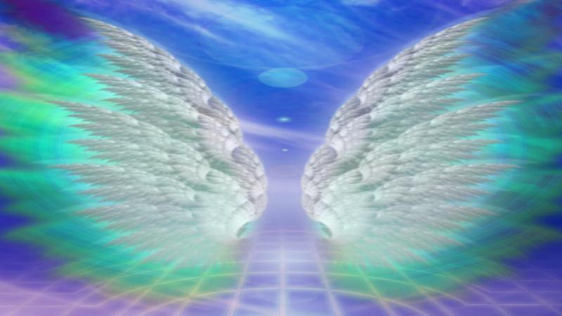 #جناح #أجنحة #Wings #ملائكة #ملاك #Angels عالية الوضوح - 20