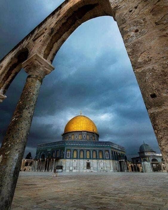 #مسجد #قبة_الصخرة #القدس #فلسطين - 19
