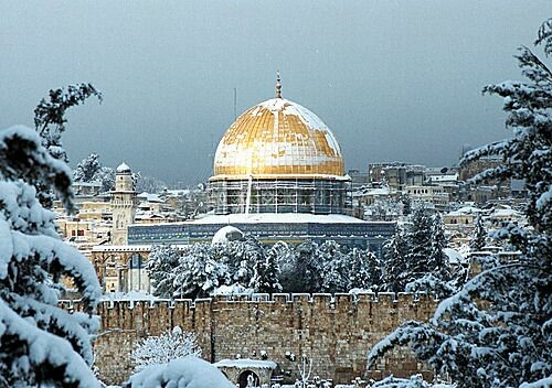 #مسجد #قبة_الصخرة #القدس #فلسطين - 23