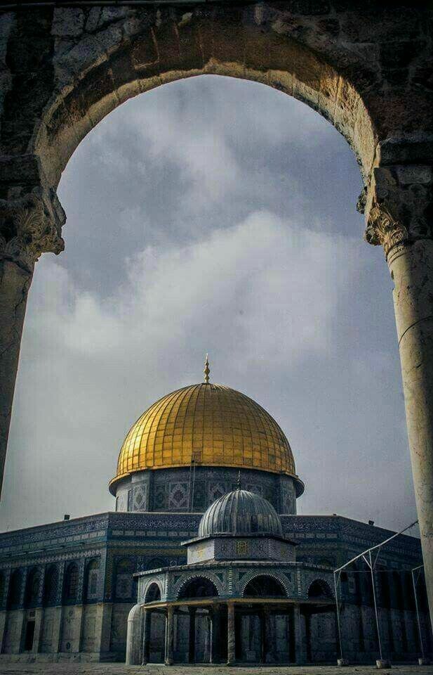 #مسجد #قبة_الصخرة #القدس #فلسطين - 17