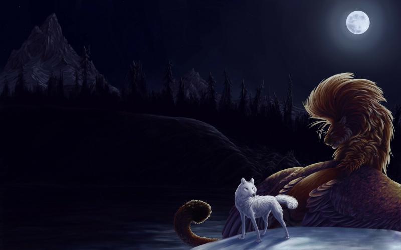#ذئب #Wolf #حيوانات #Animal عالية الوضوح - 159