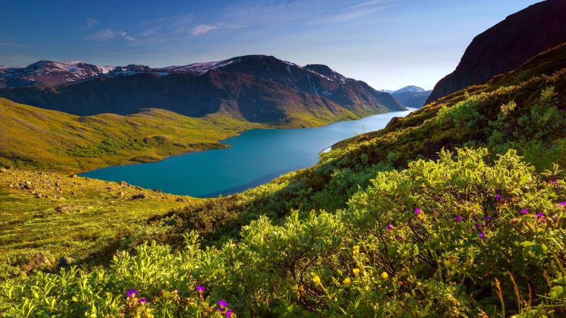 #النرويج #Norway #صور #Travel #سياحة - 17