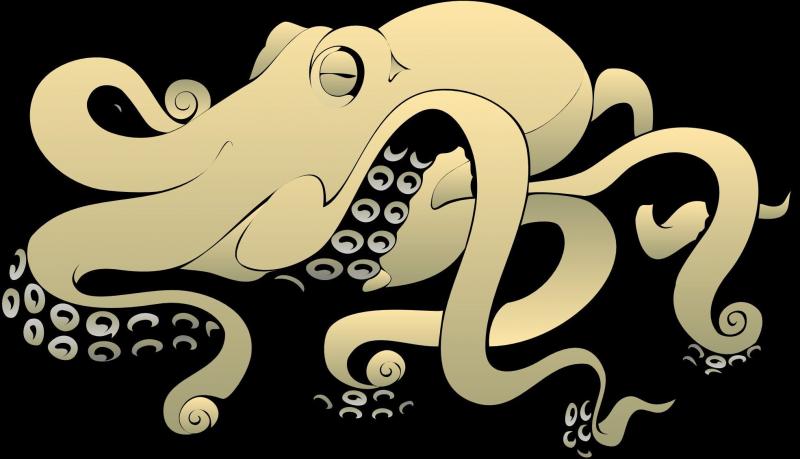 صور #أخطبوط #Octopus #بحر #Sea #طبيعة - 32