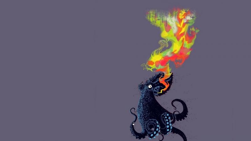 صور #أخطبوط #Octopus #بحر #Sea #طبيعة - 38