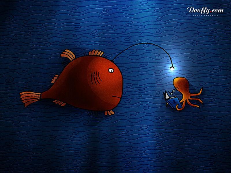 صور #أخطبوط #Octopus #بحر #Sea #طبيعة - 24