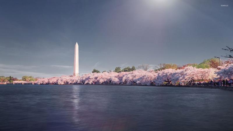 #واشنطن #Washington #صور #Travel #سياحة - 54