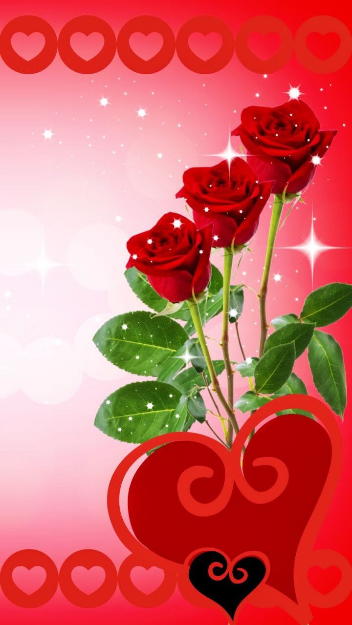 #ورد #ورود #Roses #حب #Love #صور - 69
