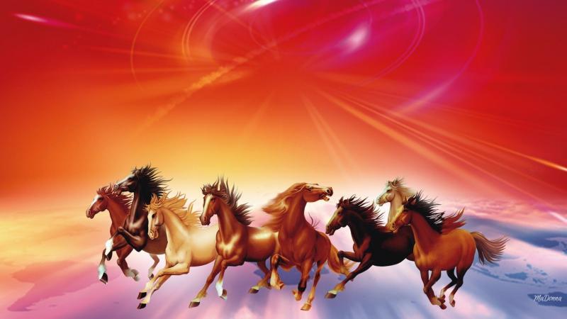 #حصان #أحصنة #Horses #حيوانات #Animals #خلفيات - 126