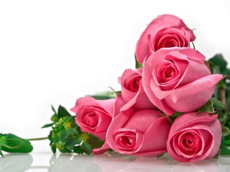 #ورد #ورود #Roses #حب #Love #صور - 75