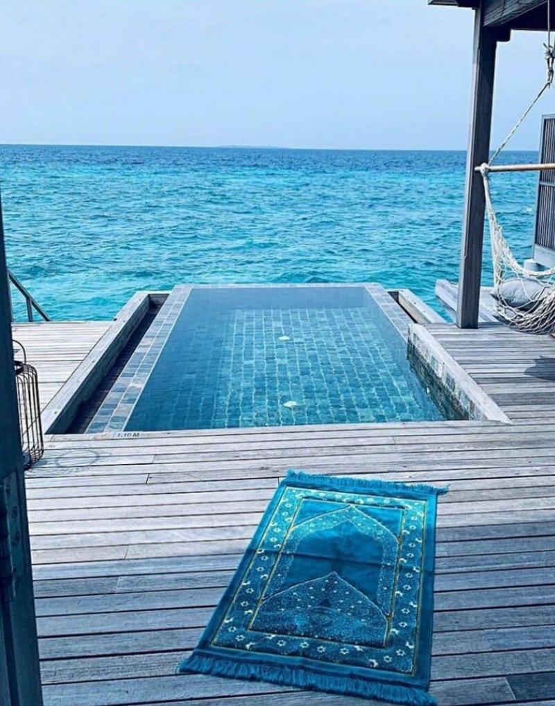 كمية الراحة في هذه الصورة