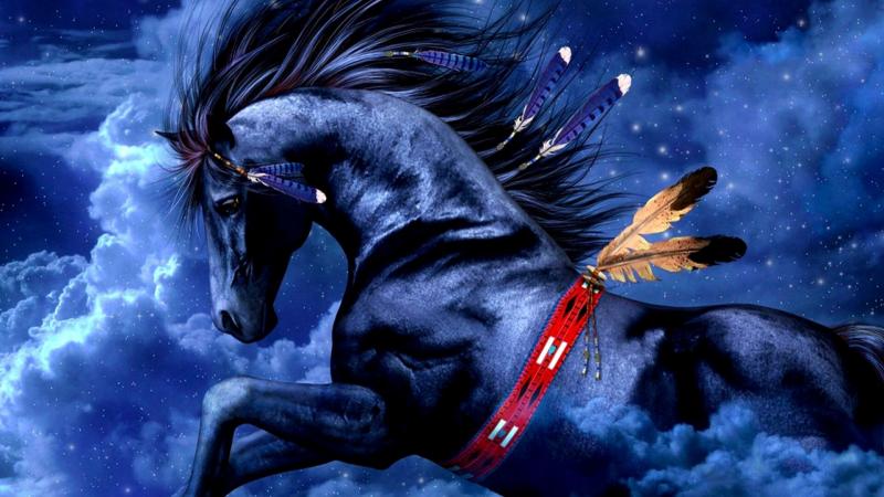 #حصان #أحصنة #Horses #حيوانات #Animals #خلفيات - 59