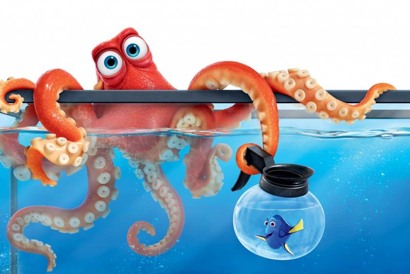 #أخطبوط #Octopus #حيوانات #Animals #بحر #Sea #صور - 7