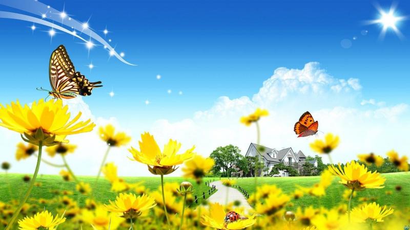 #فراشات #Butterfly #طبيعة - 25