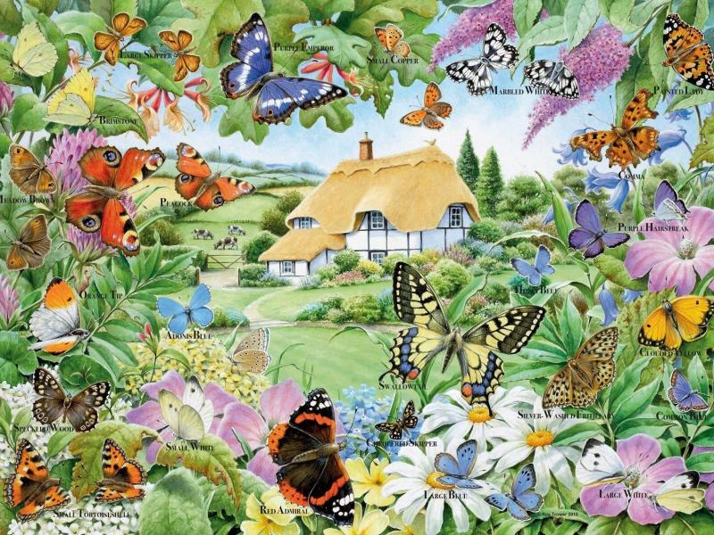 #فراشات #Butterfly #طبيعة - 10