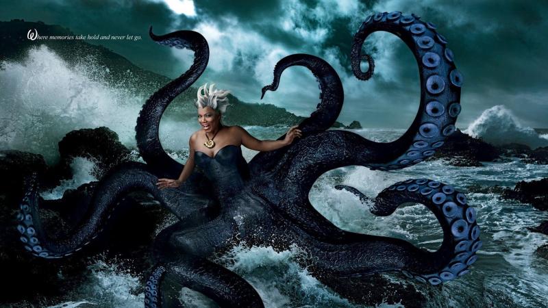 #أخطبوط #Octopus #حيوانات #Animals #بحر #Sea #صور - 2