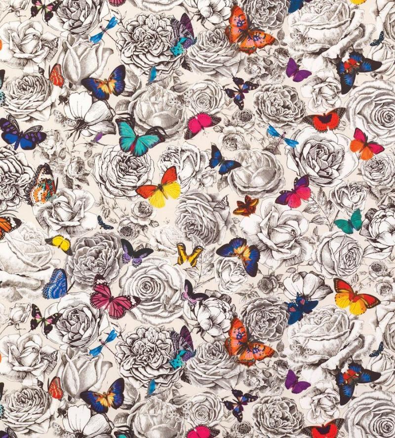 #فراشات #Butterfly #طبيعة - 18