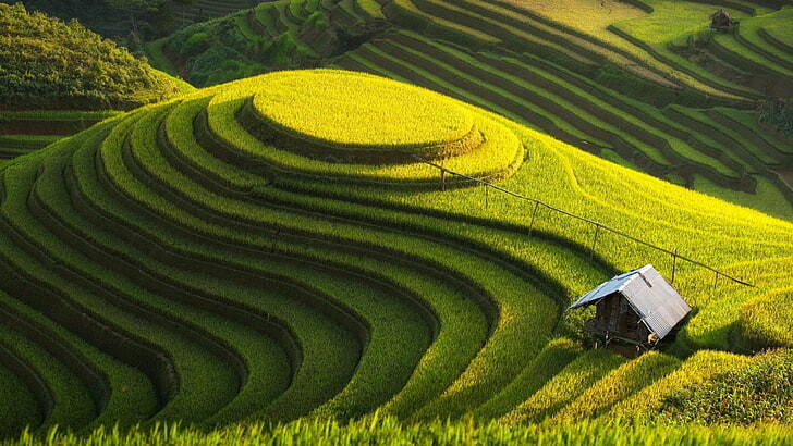 #مزارع #Farms #زراعة #Agriculture #خلفيات - 74
