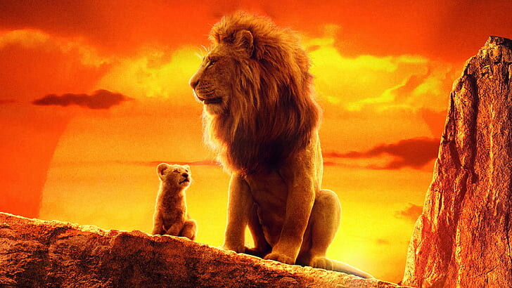 #أسد #Lion #حيوانات #Animals #طبيعة #Nature #خلفيات عالية الوضوح - 95
