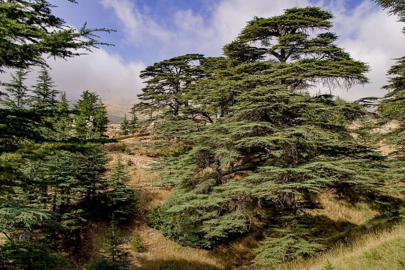 #صور_من_لبنان #Lebanon #لبنان #بيروت #بعلبك #سياحة - 148