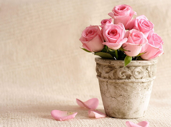 #ورود #ورد #Flowers #زهور #Roses #خلفيات #بنات - 48