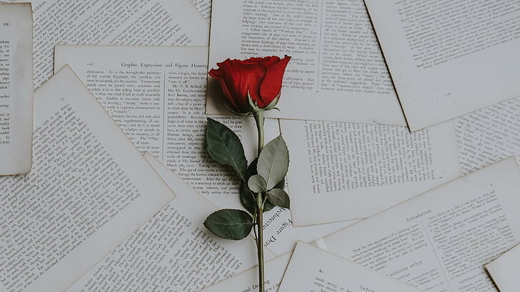#ورود #ورد #Flowers #زهور #Roses #خلفيات #بنات - 42