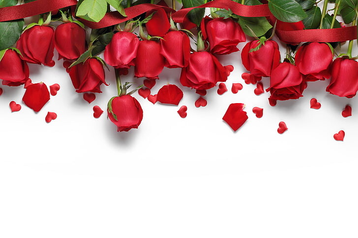 #ورود #ورد #Flowers #زهور #Roses #خلفيات #بنات - 27