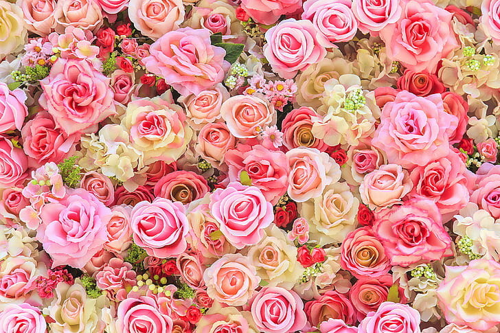 #ورود #ورد #Flowers #زهور #Roses #خلفيات #بنات - 14