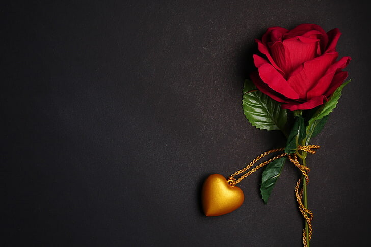 #ورود #ورد #Flowers #زهور #Roses #خلفيات #بنات - 16