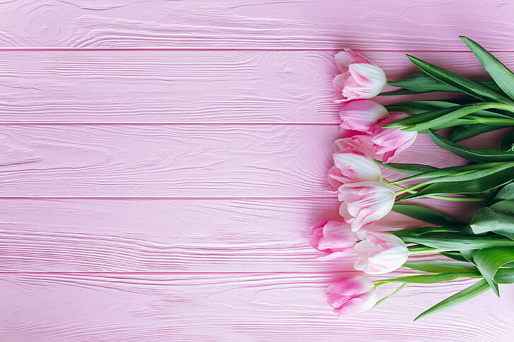 #ورود #ورد #Flowers #زهور #Roses #خلفيات #بنات - 23