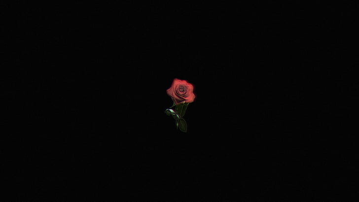 #ورود #ورد #Flowers #زهور #Roses #خلفيات #بنات - 49