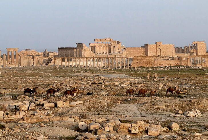 صور من #سوريا #Syria منوعة - 70