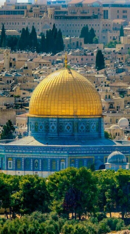 #المسجد_الأقصى #قبة_الصخرة #فلسطين #القدس - 6