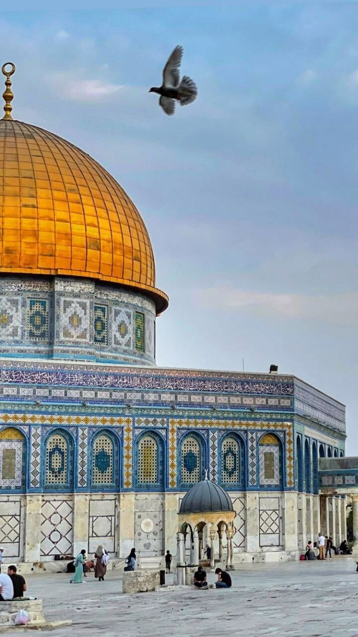#المسجد_الأقصى #قبة_الصخرة #فلسطين #القدس - 7