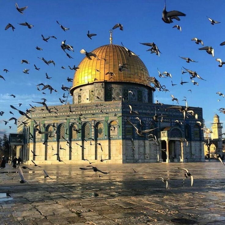 #المسجد_الأقصى #قبة_الصخرة #فلسطين #القدس - 3