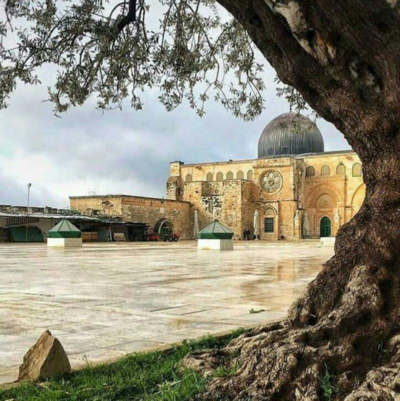 #المسجد_الأقصى #قبة_الصخرة #فلسطين #القدس - 13