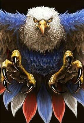 #نسر #Eagle #طيور #Birds #حيوانات - 1