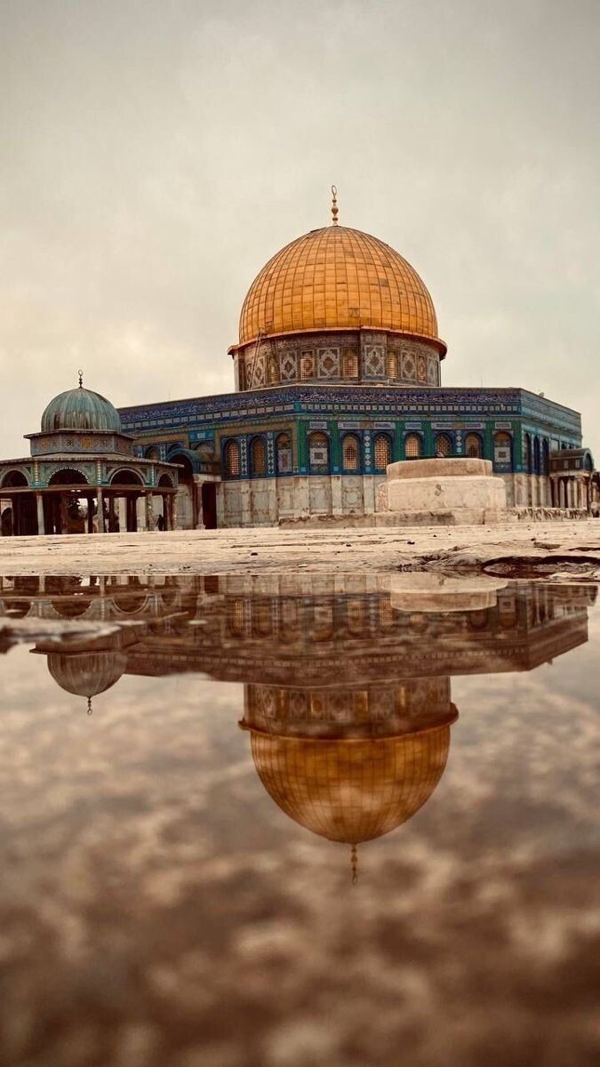 #المسجد_الأقصى #قبة_الصخرة #فلسطين #القدس - 19