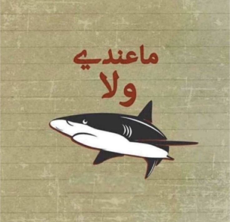#رمزيات #مضحكة #حالات #واتساب #انستغرام - 7