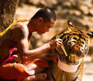 Harmony