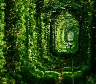 Tunnel of Love, Ukraine