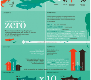 Wild vs. Farm #infographic