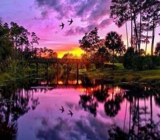Purple Sunset