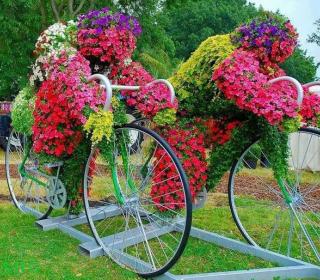 The Cycling Flowers at Brockwall Park, London.
