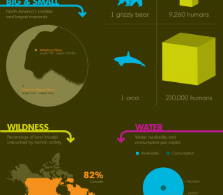 How Wild is North America #infographic