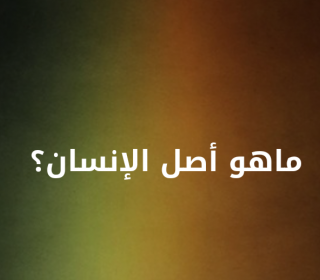الصور التى تحتوي على هاشتاج لغز صفحة 8