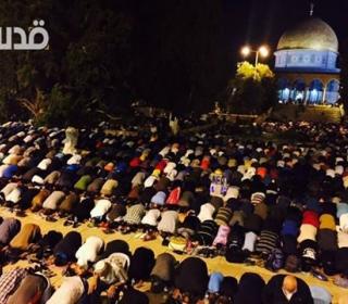 #صور‬ جانب من صلاة ‫#التراويح‬ في المسجد ‫#الأقصى‬ قبل قليل