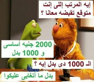 البحث مضحك صفحة 25